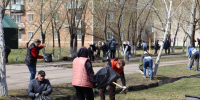 В Исилькульском районе начался месячник по благоустройству и санитарной очистке территорий - Газета Знамя