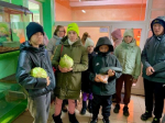 Удивительный мир природы 