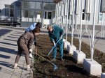 На бульваре Озерки проведён субботник.